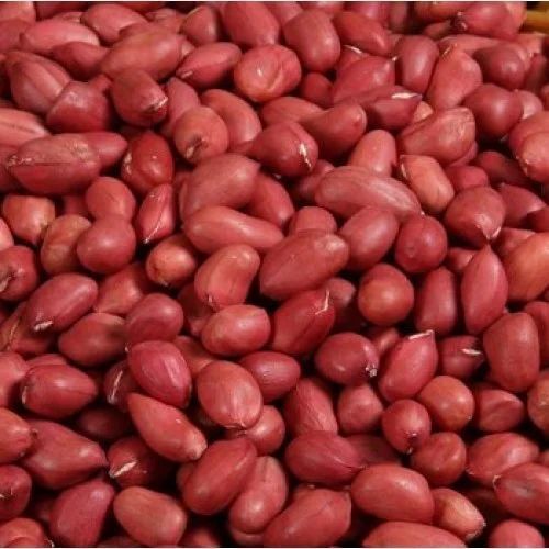 Commonly Cultivated Pure And Dried Raw Whole Healthy Red Peanut