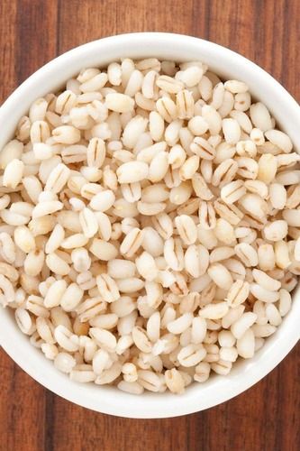 High In Protein Indian White Barley Seed For Cooking Use