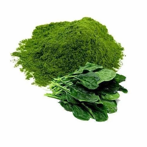 Rich Protein Fine Ground Pure And Natural Dried Palak Powder