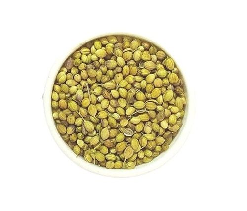 Common 100% Pure Green A Grade Dried Coriander Seed