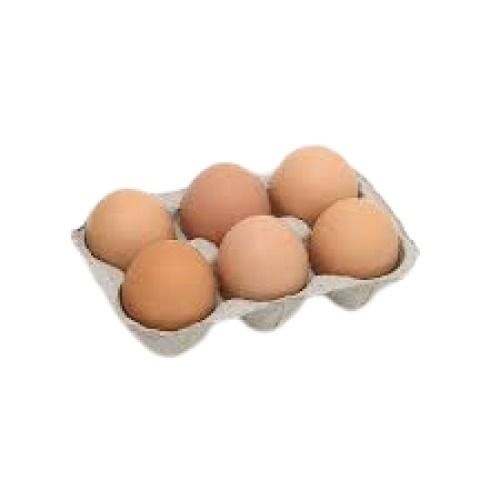 Brown Hatching Poultry Chicken Fresh Egg Egg Size: Standard