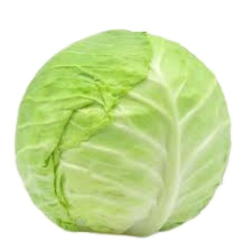 Green Naturally Grown Round Shape Fresh Cabbage Moisture (%): 80.4%