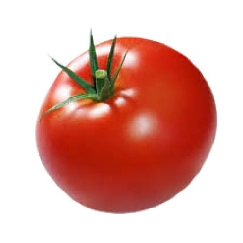 Naturally Grown Raw Round Shape Fresh Tomato Moisture (%): 92.58%