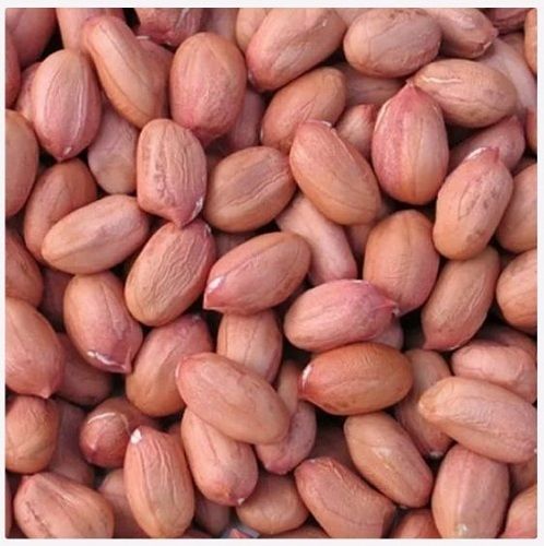 Small And Hard Shelled Groundnuts Raw Peanut