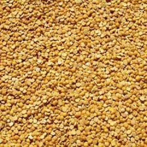 Splited Round Shape Dried 100% Pure Toor Dal  Broken (%): 1 %