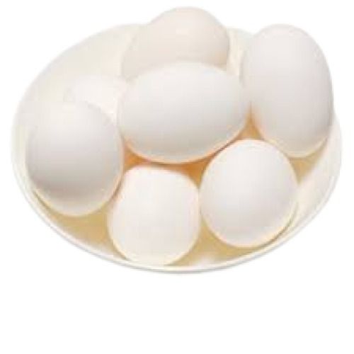 White Hatching Poultry Chicken Fresh Egg