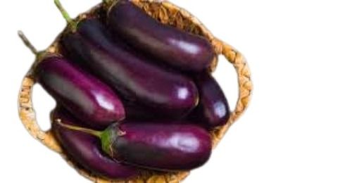 Fresh Oval Shape Brinjal Moisture (%): 94.4%