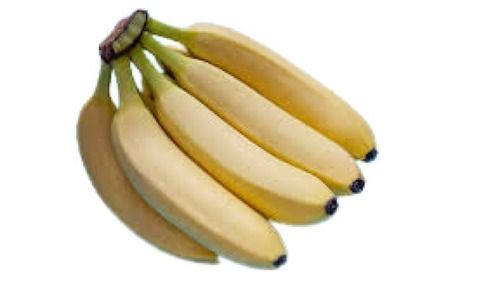 Common Yellow Sweet Taste Fresh Long Shape Banana