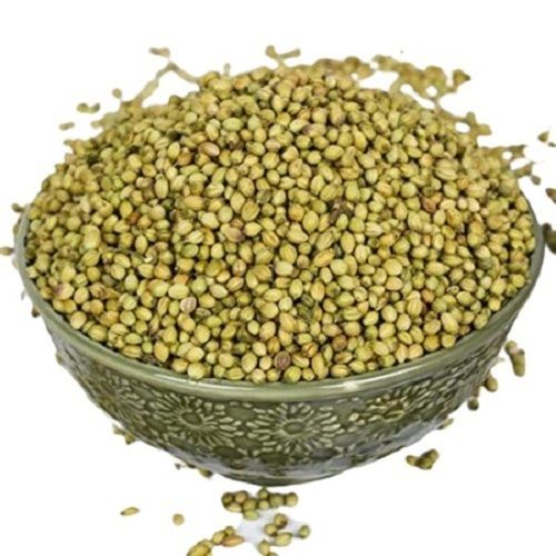 Common A Grade Green Raw Round Shape Dried Coriander Seed