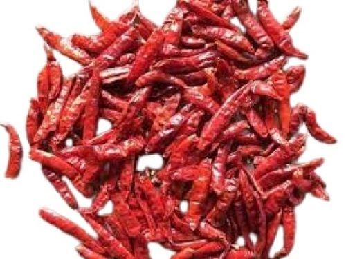 Dried Spicy A Grade Raw Red Chilli 