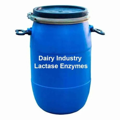 Lactase Enzymes Powder For Dairy Industry