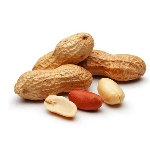 Natural Organic Sweet Groundnut Kernels For Snacks