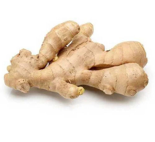 Organic Unequal Raw Fresh Ginger For Cooking Use