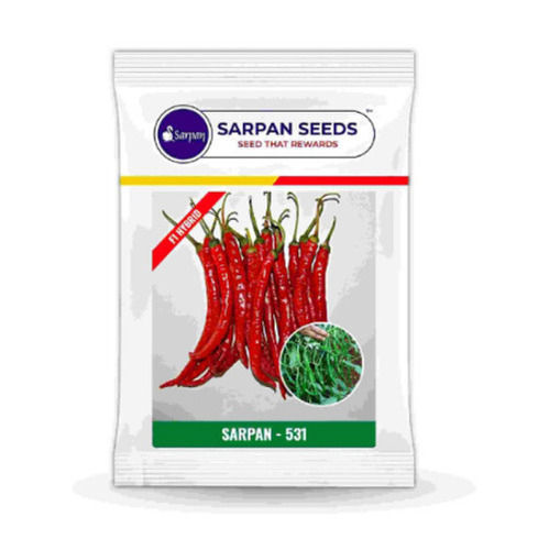 Pure And Dried Commonly Cultivated Edible Hybrid Chilli Seeds