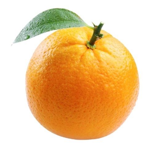 Common Round Shape Fresh Sour Orange Fruit