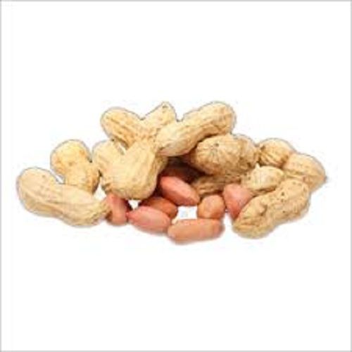 High In Protein Golden Peanut Seeds Admixture (%): 1% Max.