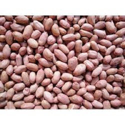 Highly Nutritious Groundnut Seeds