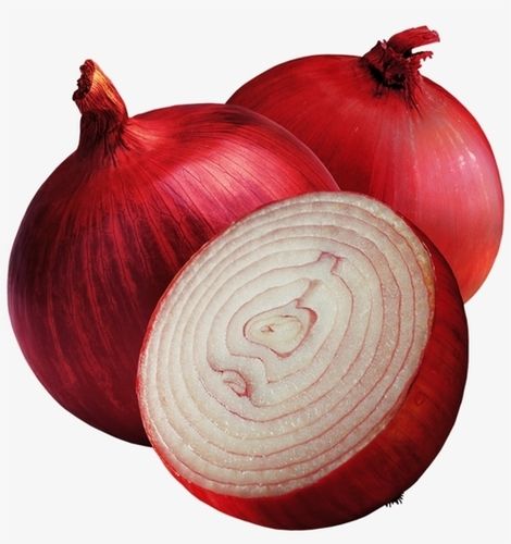 Indian Origin Naturally Grown Fresh Onion
