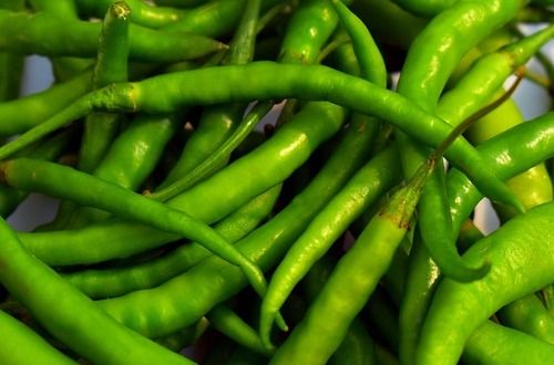 Naturally Grown Spicy Whole Green Chilly