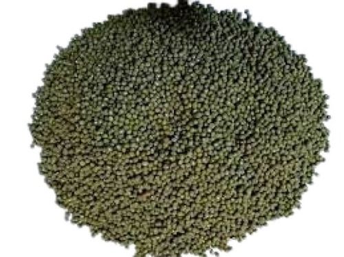 Oval Shape Whole 100 Percent Pure Green Gram Admixture (%): 2%