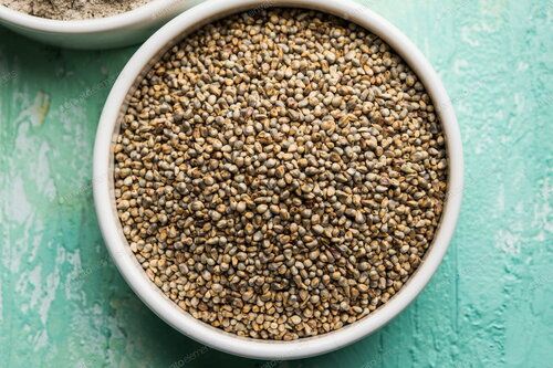 A Grade Whole Bajra, High In Protein