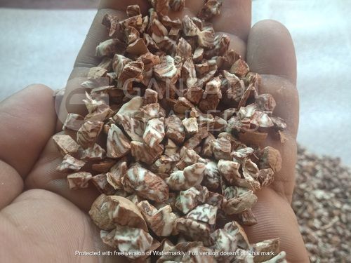 Diamond Cuttings Dried Betel Nuts