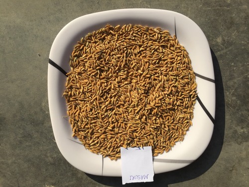 खाना पकाने के उपयोग के लिए लंबे अनाज वाले जैविक धान के बीज