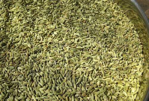 Natural Sun Dried Fennel Seeds For Cooking Use