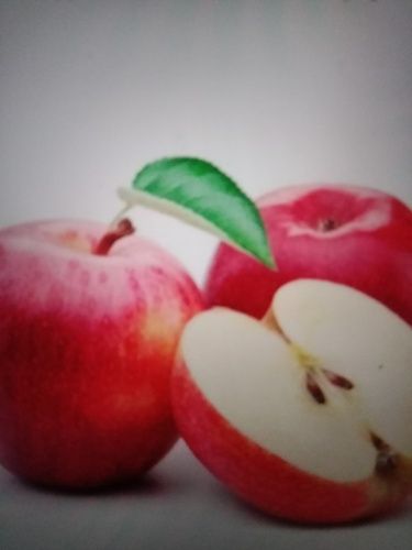 100% Organic And Farm Fresh Healthy Round Shape Red Apple