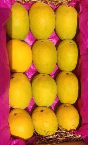 100% Organic Farm Fresh A Grade Sweet Alphonso Mango