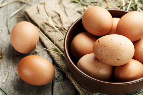 High Nutritious Fertilized Eggs