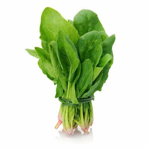 Rich Nutritious Green Spinach Leaves