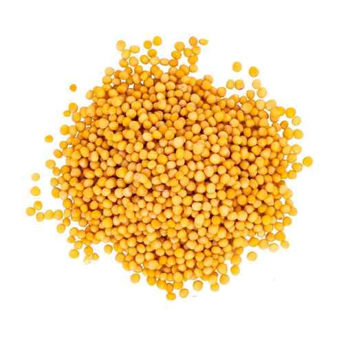 100 Percent Organic Yellow Dried Mustard Seeds