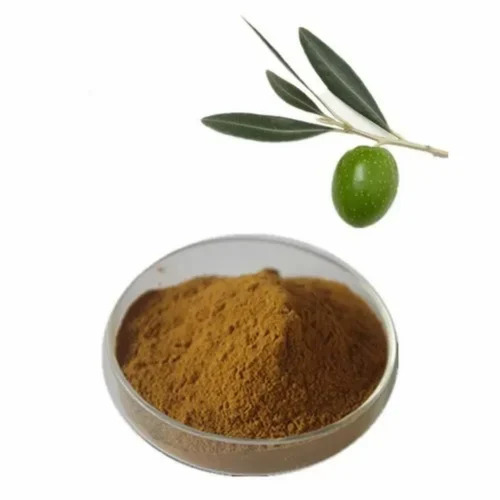 Olea Europea Dried Natural Herbal Extract Powder