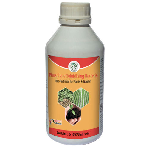 Gilehri Phosphorus Solubilizing Bacteria Liquid Bio Fertilizer ( 5 X 10*8 Cfu Ml/min ) For All Plants And Home Garden Recommended By Npop For Organic Farmin