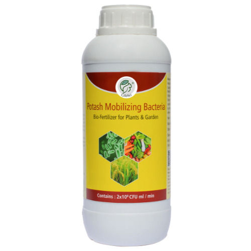 Gilehri Potash Mobilizing Bacteria Liquid Bio Fertilizer ( 5 X 10*8 Cfu Ml/Min ) For All Plants And Home Garden Application: Agriculture