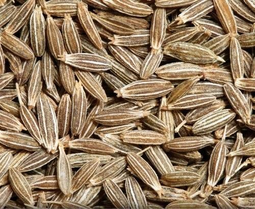 Natural Dried Cumin Seed For Cooking And Medicine Use