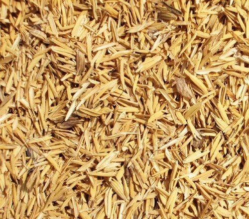 Rice Husk For Cattle Feeds