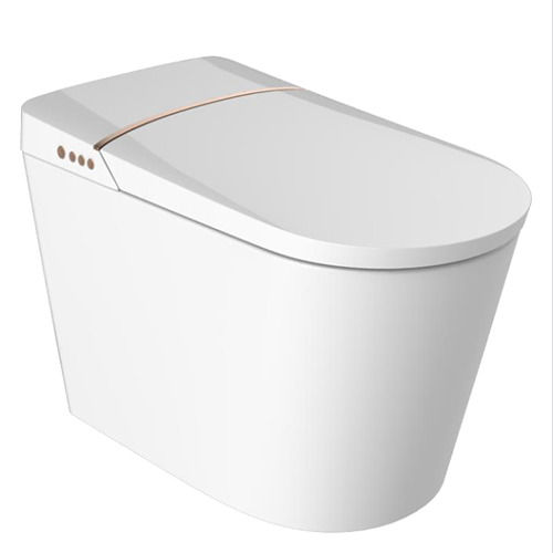 Floor Mounted Smart Electric Bidet Toilet Seat