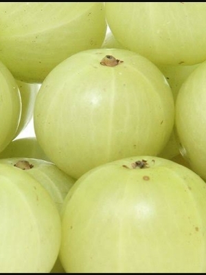 raw amla