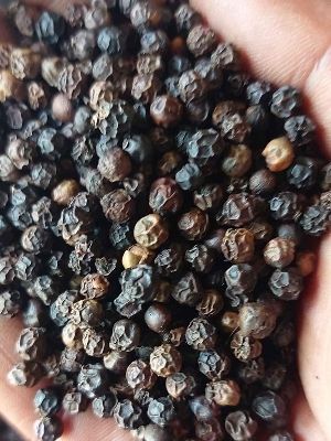 Solid Form Free From Impurities Dried Black Pepper