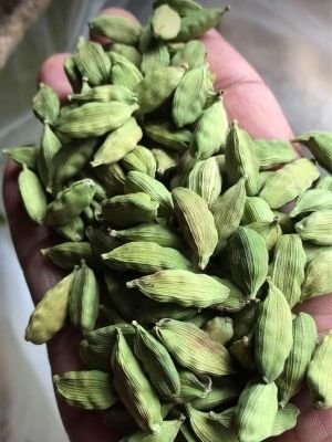 Free From Impurities Green Cardamom