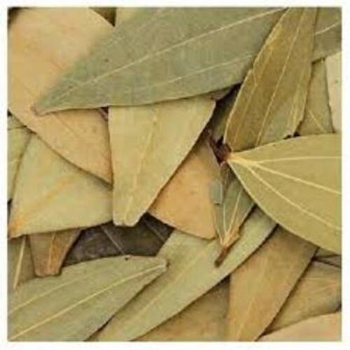 Indian Origin Naturally Grown And Dried Bay Leaves