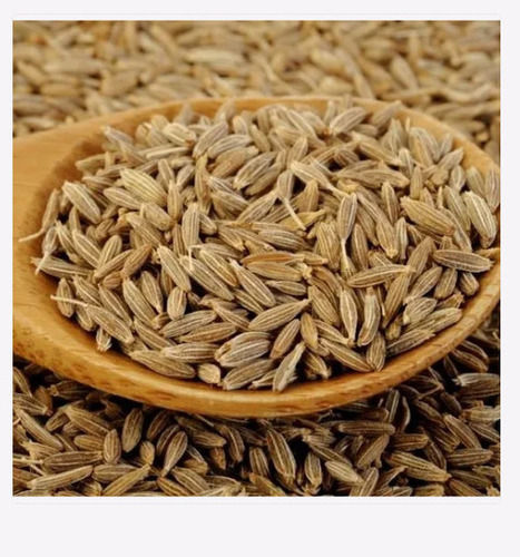 Cumin Seeds For Cooking And Medicine Use