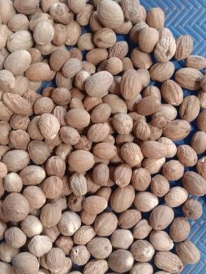 Dried Good For Health Pesticide Free Shelled Nutmeg