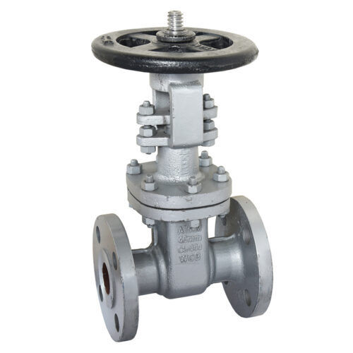 Grey Cast Carbon Steel Gate Valve, Flanged Ends, Class-300