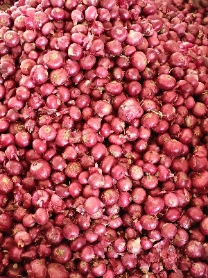 Fresh Red Onion - Style: Cooked