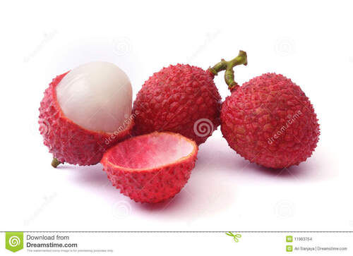 litchi fruit