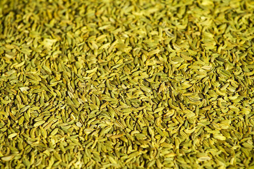 A Grade and Indian Origin Fennel Seeds