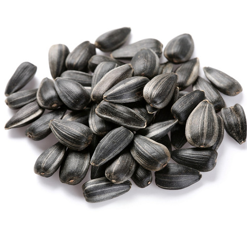 Dried And Cleaned Raw Sunflower Seeds 361